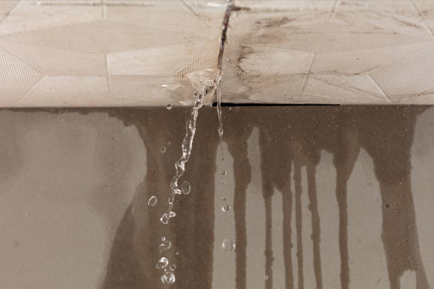 Professional Water Damage Repair technician working in Westminster, CA